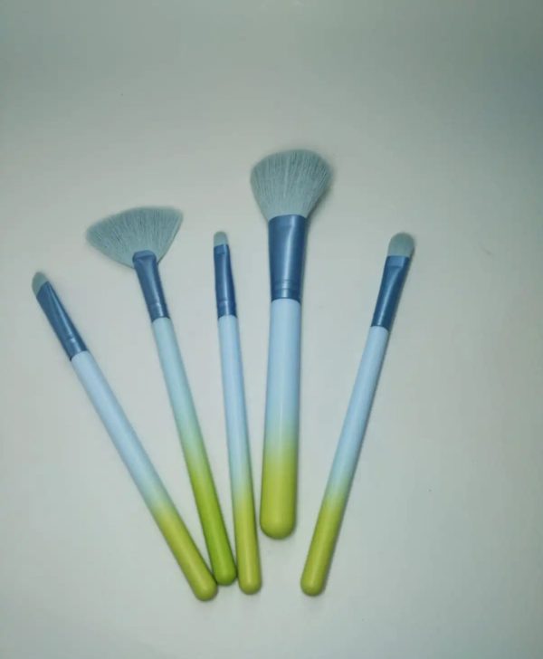 SET DE BROCHAS （5PC）AF50451